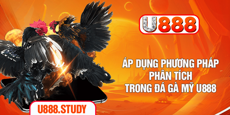 Áp dụng phương pháp phân tích trong đá gà Mỹ U888