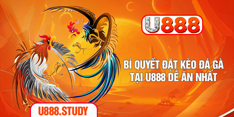 Bí quyết đặt kèo đá gà tại U888 dễ ăn nhất