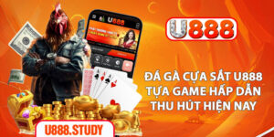 Đá Gà Cựa Sắt U888 - Tựa Game Hấp Dẫn, Thu Hút Hiện Nay