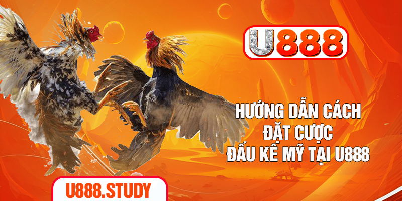 Hướng dẫn tham gia trải nghiệm tại U888