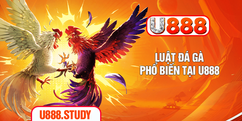 Luật đá gà phổ biến tại U888