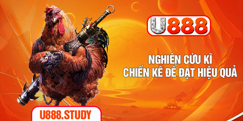 Nghiên cứu kĩ chiến kê để đạt hiệu quả