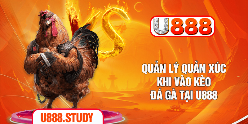 Quản lý quản xúc khi vào kèo đá gà tại U888