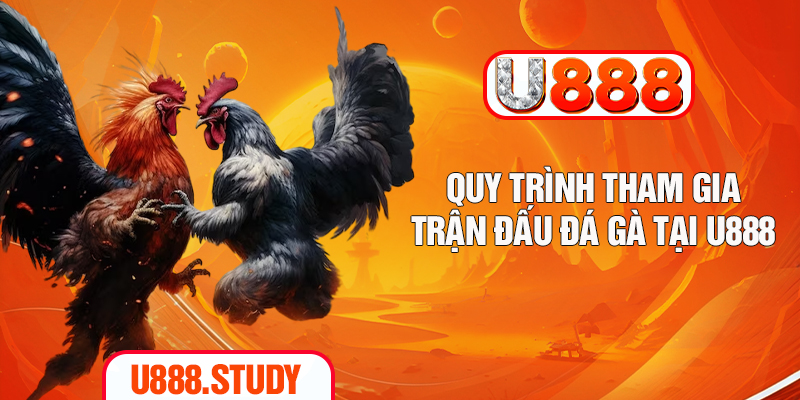 Quy trình tham gia trận đấu đá gà tại U888
