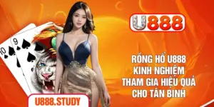 Rồng Hổ U888 - Kinh Nghiệm Tham Gia Hiệu Quả Cho Tân Binh