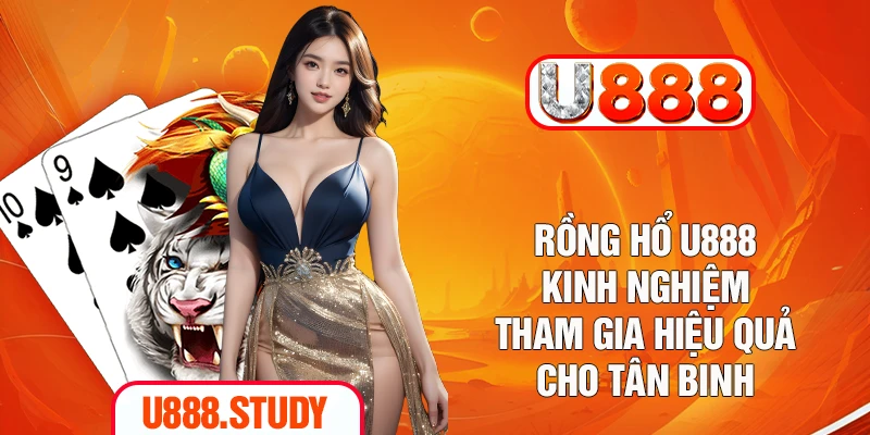Rồng Hổ U888 - Kinh Nghiệm Tham Gia Hiệu Quả Cho Tân Binh