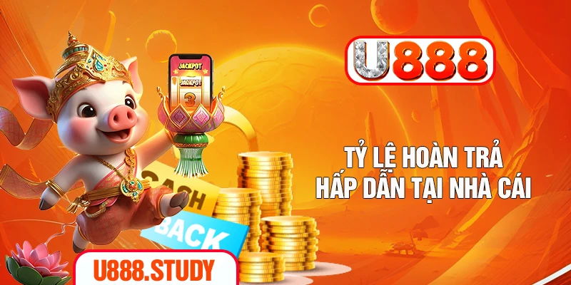 Tỷ lệ hoàn trả hấp dẫn tại nhà cái
